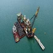 Offshore Transportation and Project Logistic Services