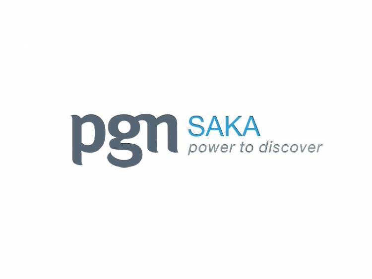 PGN Saka